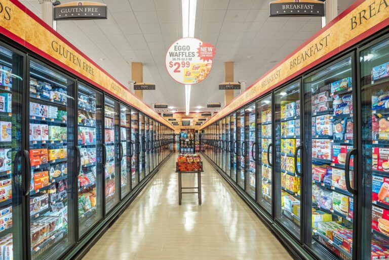 Refrigerated frozen food aisle